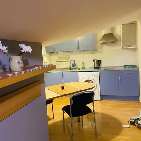 公寓 Centrum 克拉科夫